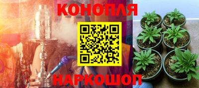 молекула духа Краснодар